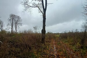 Земельный участок сельскохозяйственного назначения в Стаднице, площадь 1 Га фото 2