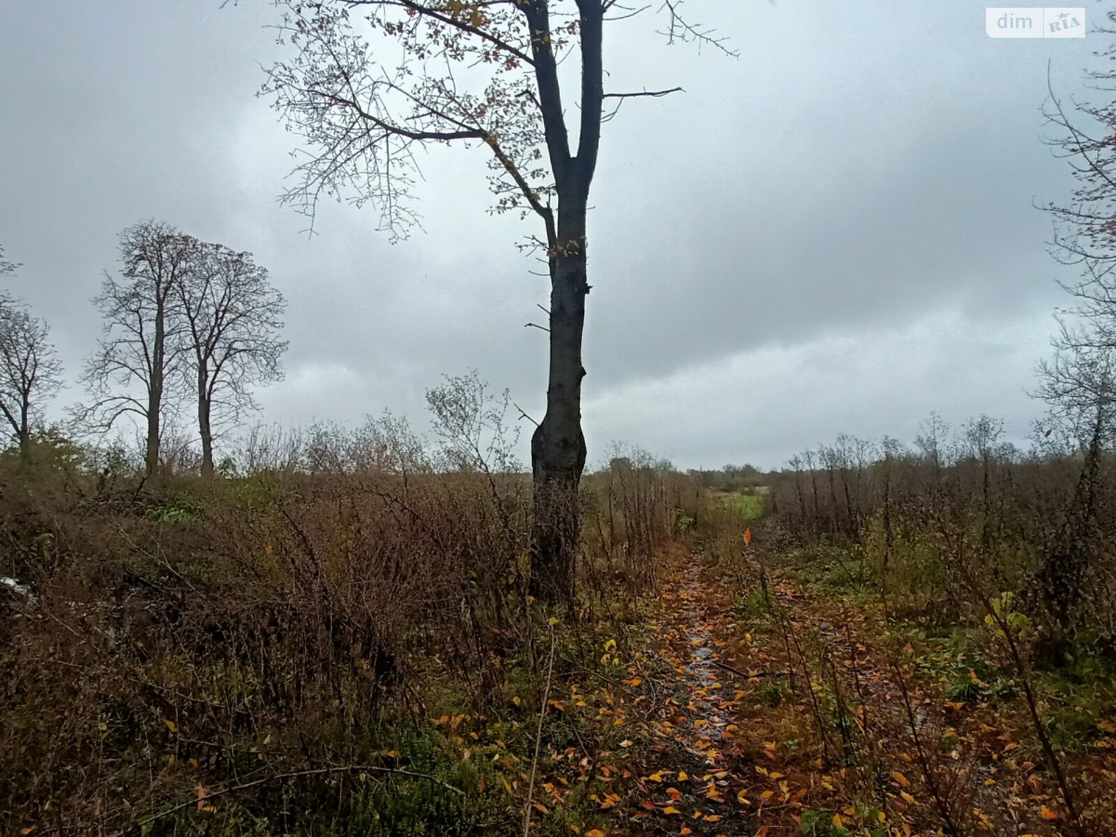 Земельный участок сельскохозяйственного назначения в Стаднице, площадь 1 Га фото 1