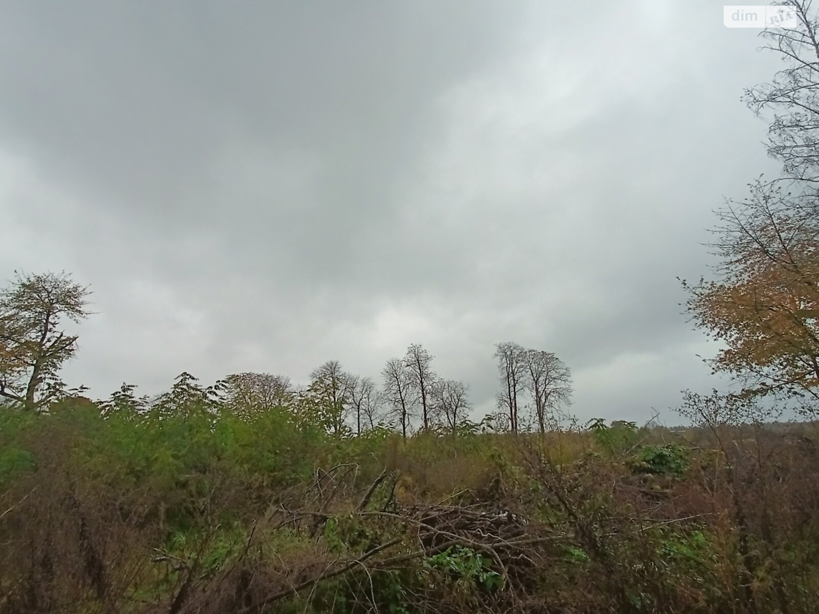 Земельный участок сельскохозяйственного назначения в Стаднице, площадь 1 Га фото 1