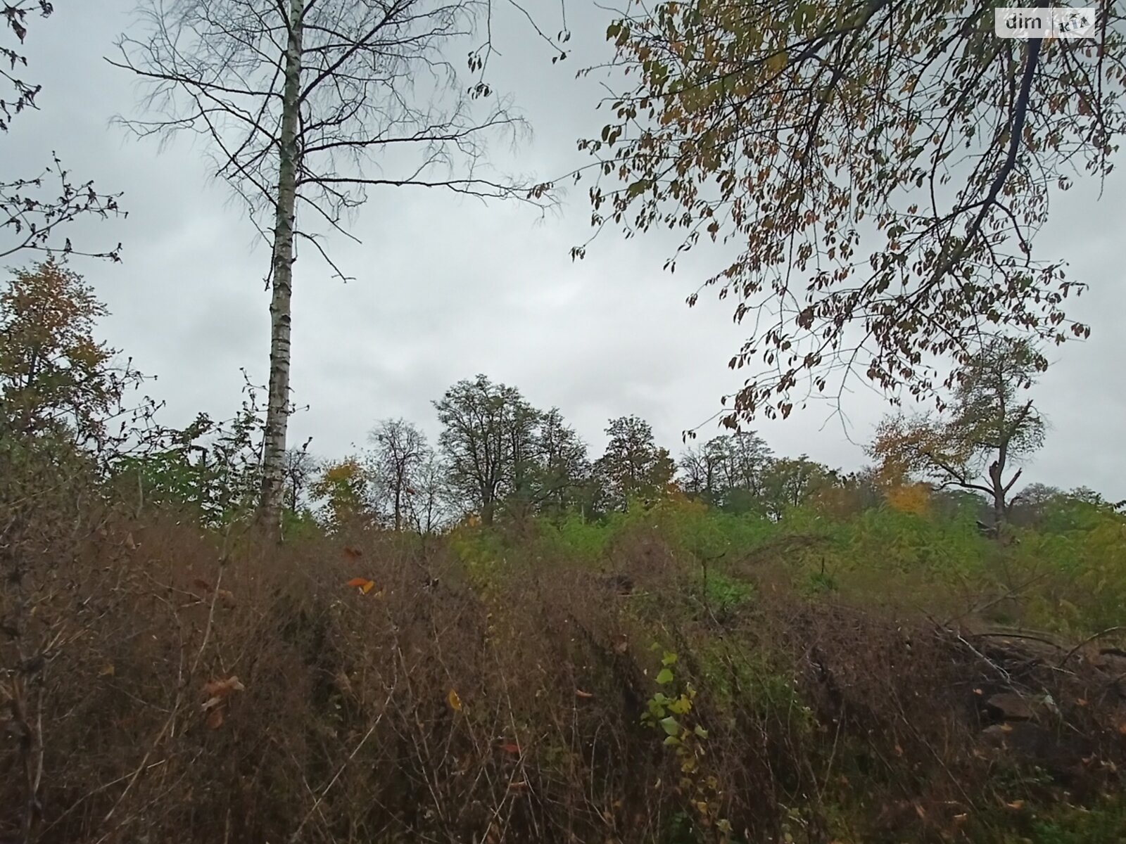 Земельный участок сельскохозяйственного назначения в Стаднице, площадь 1 Га фото 1