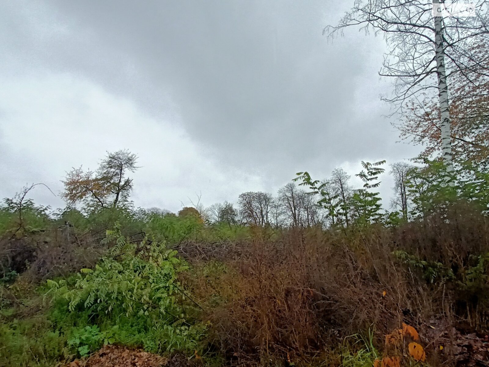 Земельный участок сельскохозяйственного назначения в Стаднице, площадь 1 Га фото 1