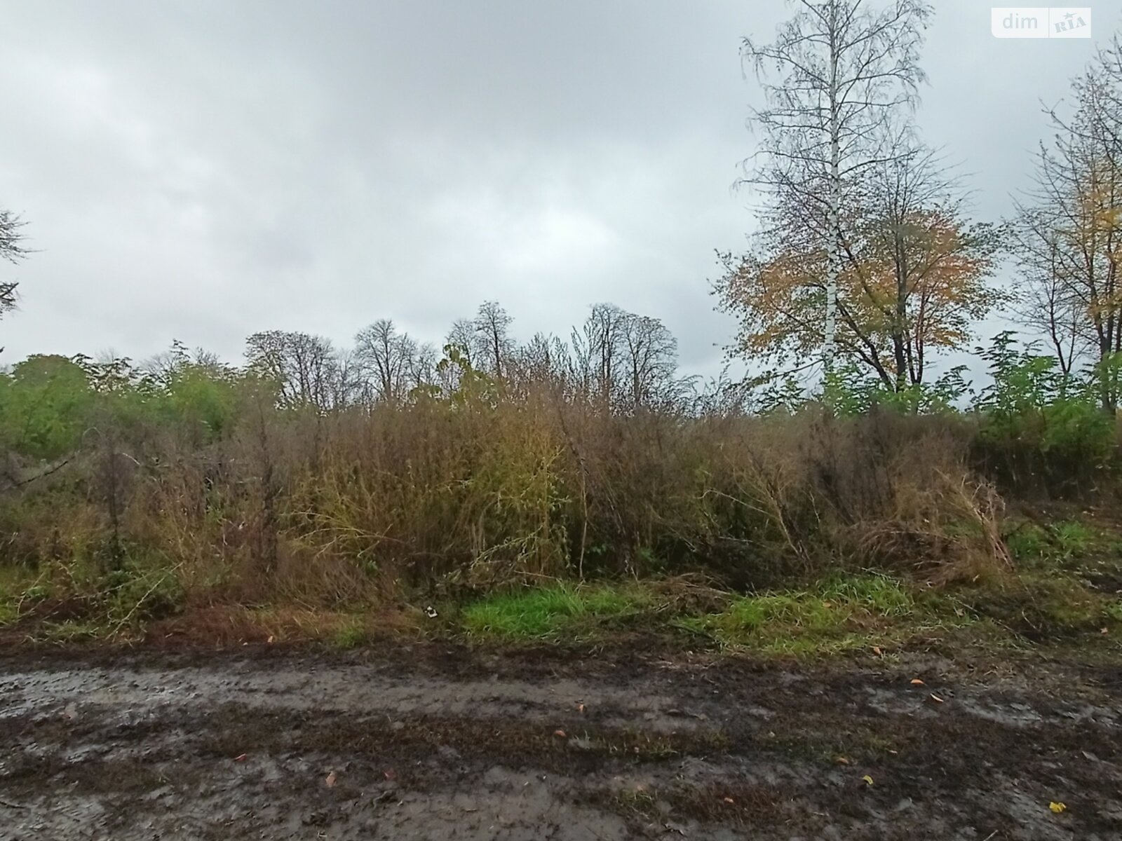 Земельный участок сельскохозяйственного назначения в Стаднице, площадь 1 Га фото 1