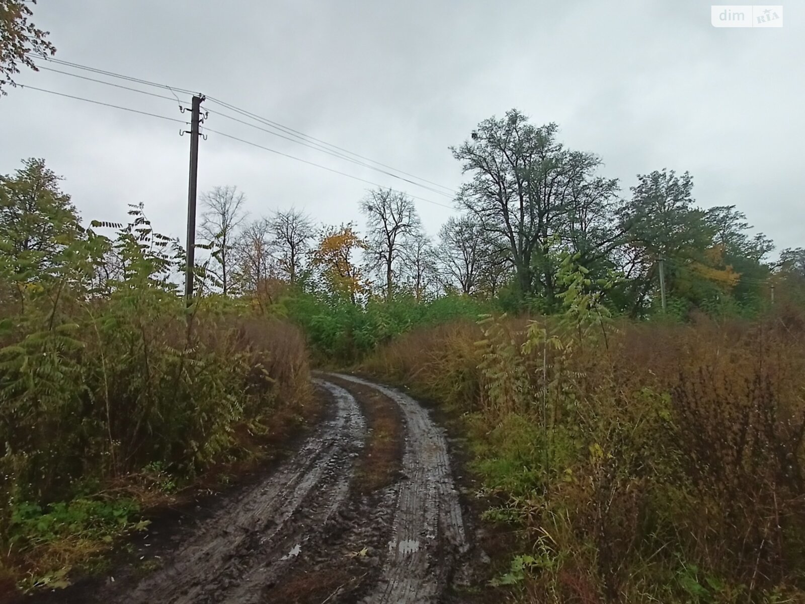 Земельный участок сельскохозяйственного назначения в Стаднице, площадь 1 Га фото 1