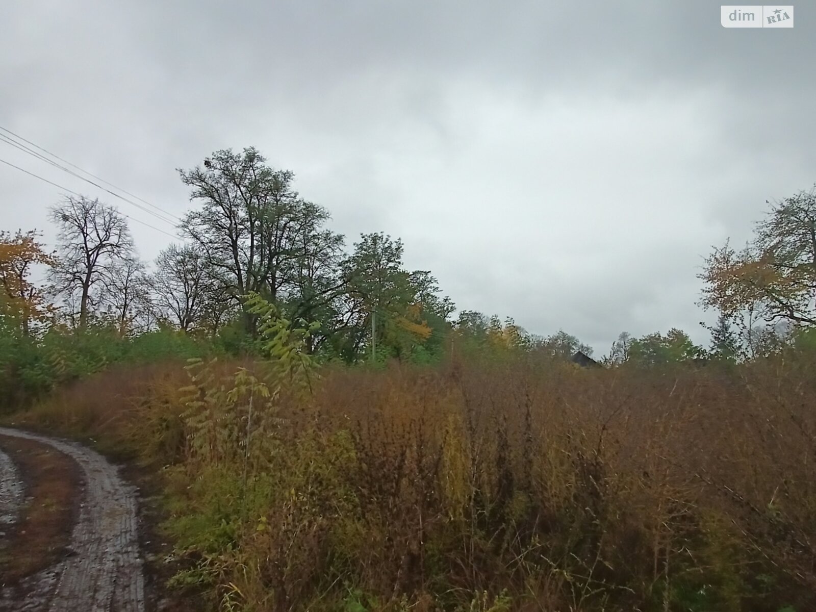 Земельный участок сельскохозяйственного назначения в Стаднице, площадь 1 Га фото 1