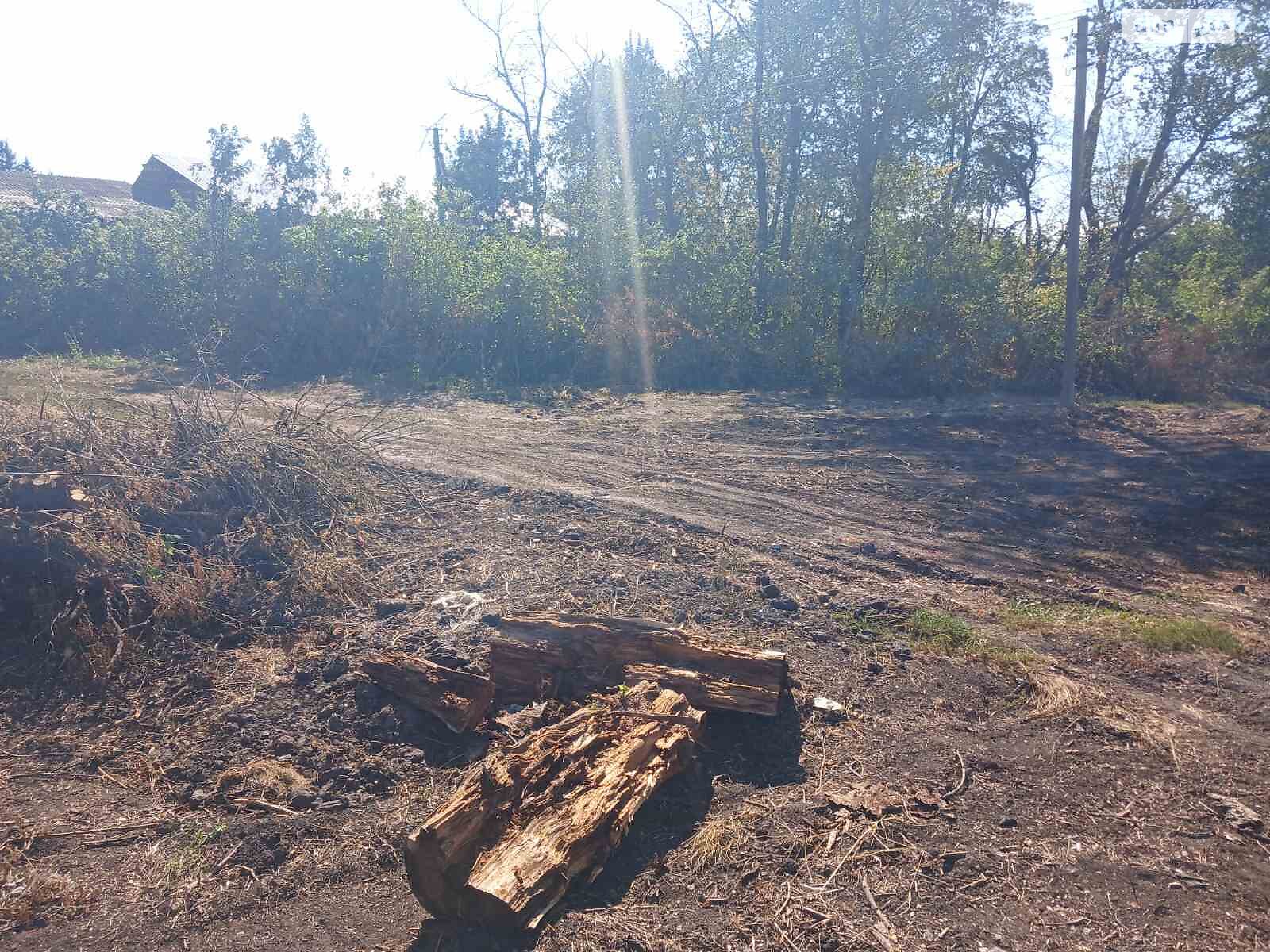 Земельный участок сельскохозяйственного назначения в Стаднице, площадь 1 Га фото 1