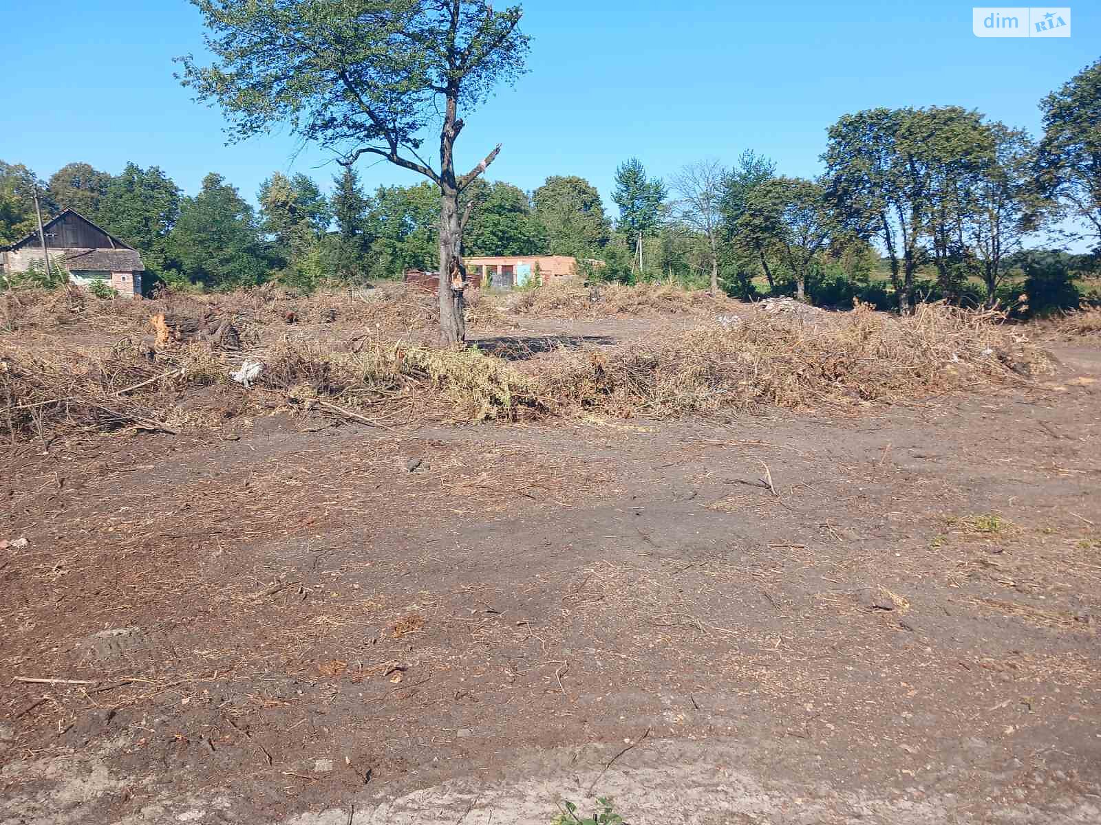 Земельный участок сельскохозяйственного назначения в Стаднице, площадь 1 Га фото 1