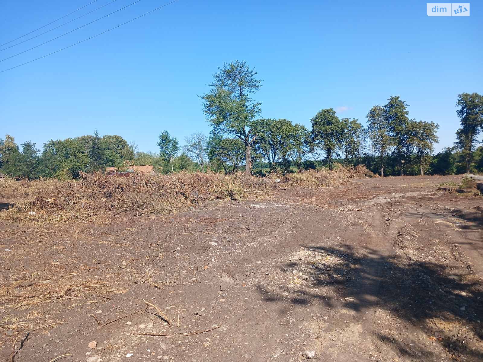 Земельный участок сельскохозяйственного назначения в Стаднице, площадь 1 Га фото 1