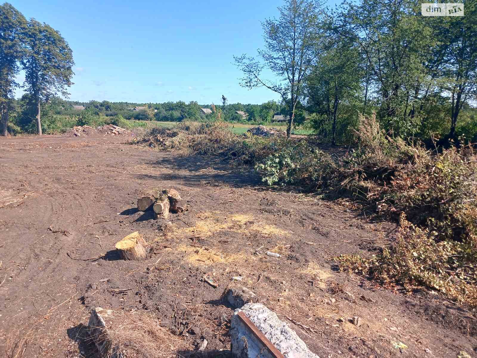 Земельный участок сельскохозяйственного назначения в Стаднице, площадь 1 Га фото 1