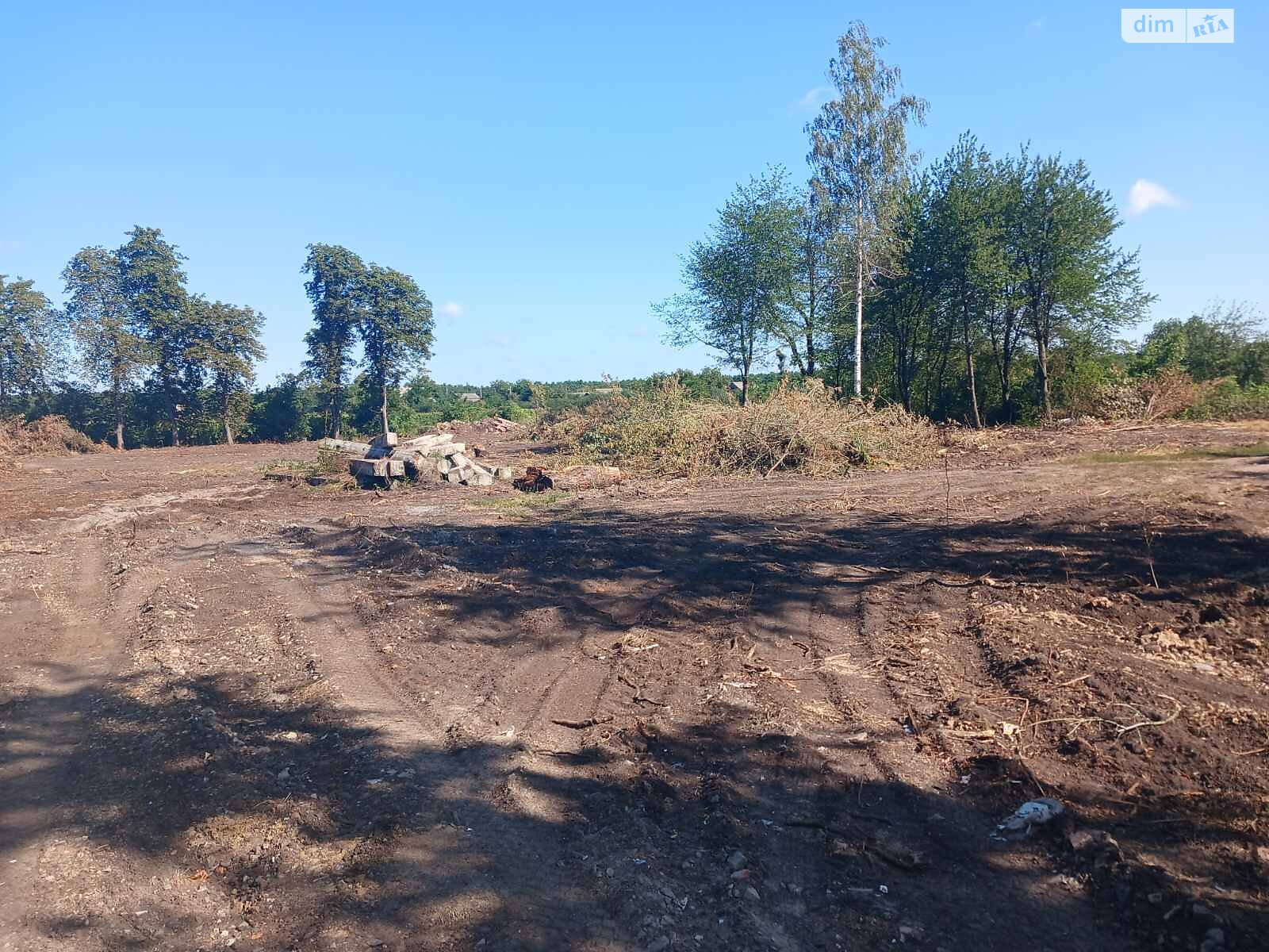 Земельный участок сельскохозяйственного назначения в Стаднице, площадь 1 Га фото 1