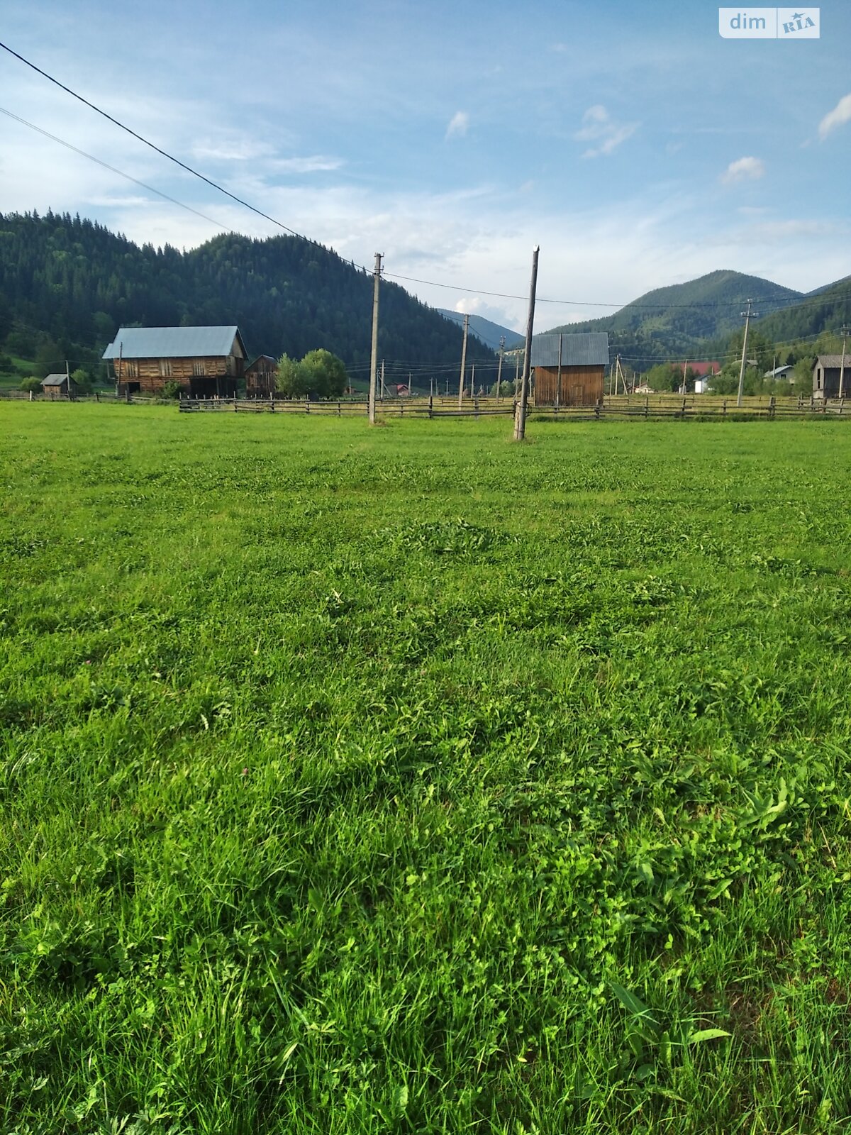 Земельный участок сельскохозяйственного назначения в Стаище, площадь 20 соток фото 1
