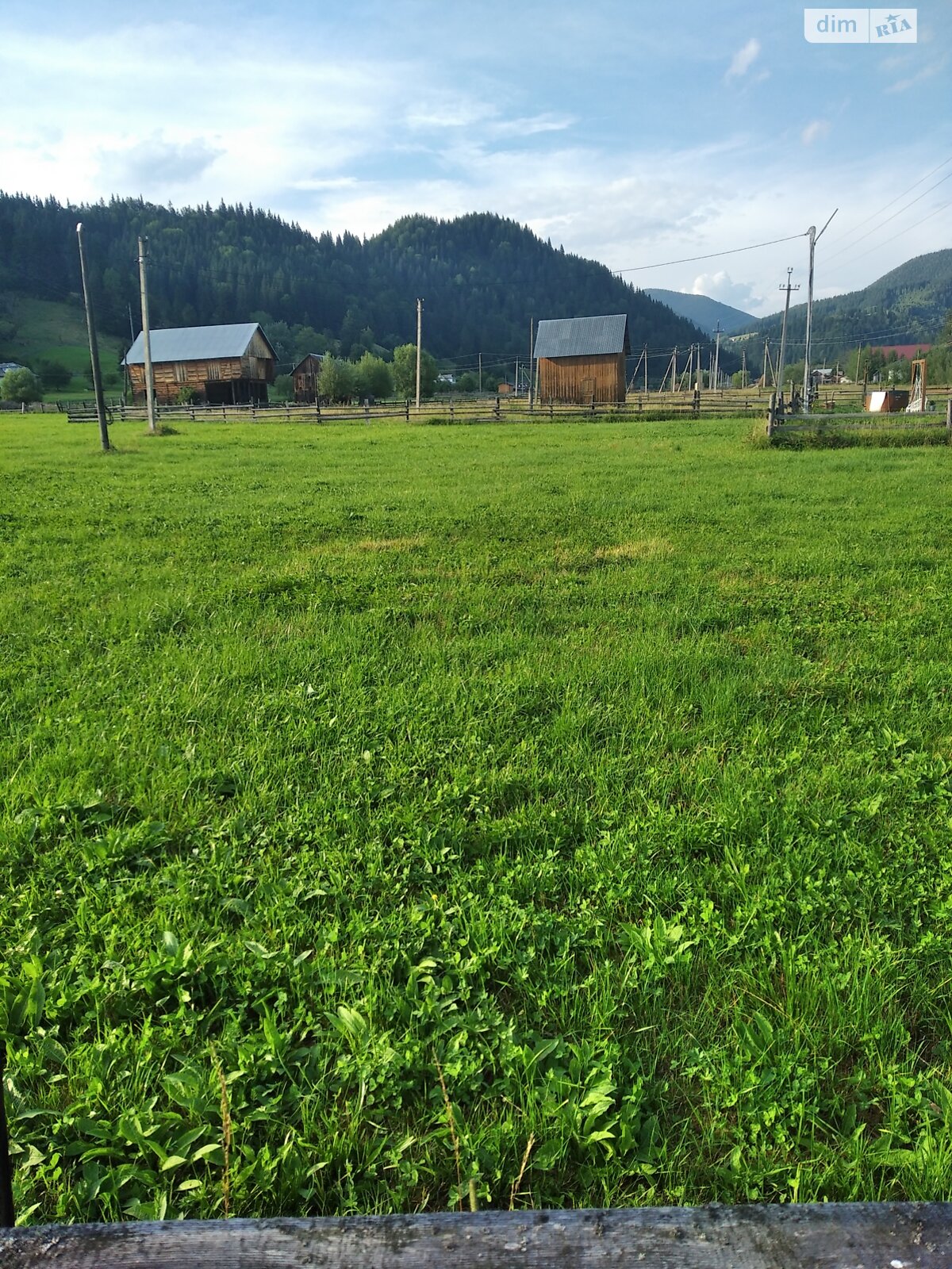 Земельный участок сельскохозяйственного назначения в Стаище, площадь 20 соток фото 1