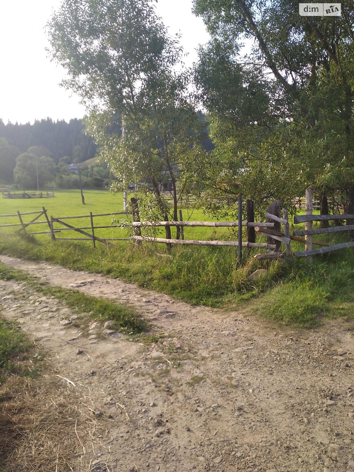 Земельный участок сельскохозяйственного назначения в Стаище, площадь 20 соток фото 1
