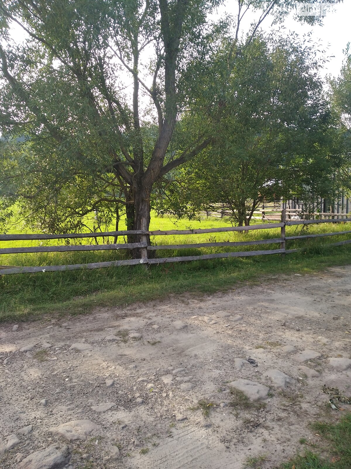 Земельный участок сельскохозяйственного назначения в Стаище, площадь 20 соток фото 1