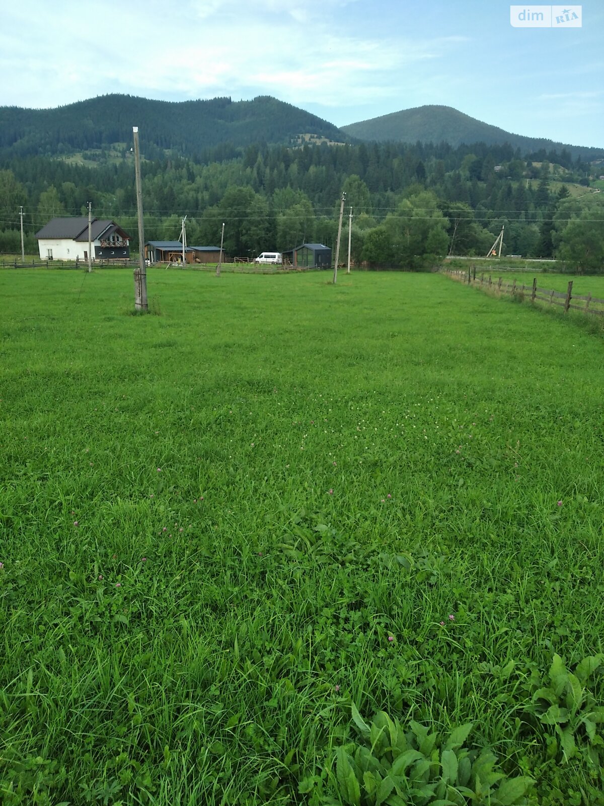 Земельный участок сельскохозяйственного назначения в Стаище, площадь 20 соток фото 1
