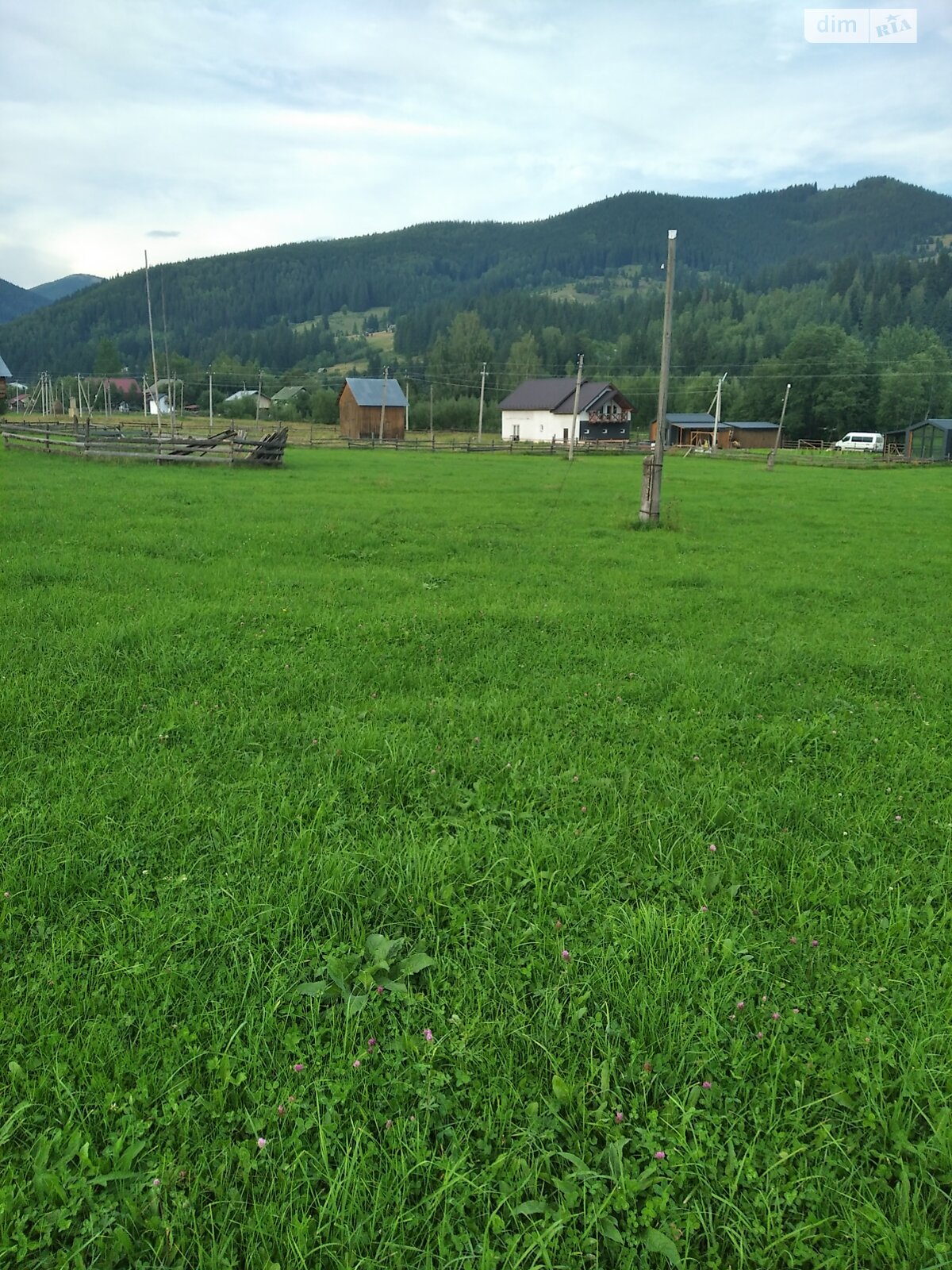 Земельный участок сельскохозяйственного назначения в Стаище, площадь 20 соток фото 1