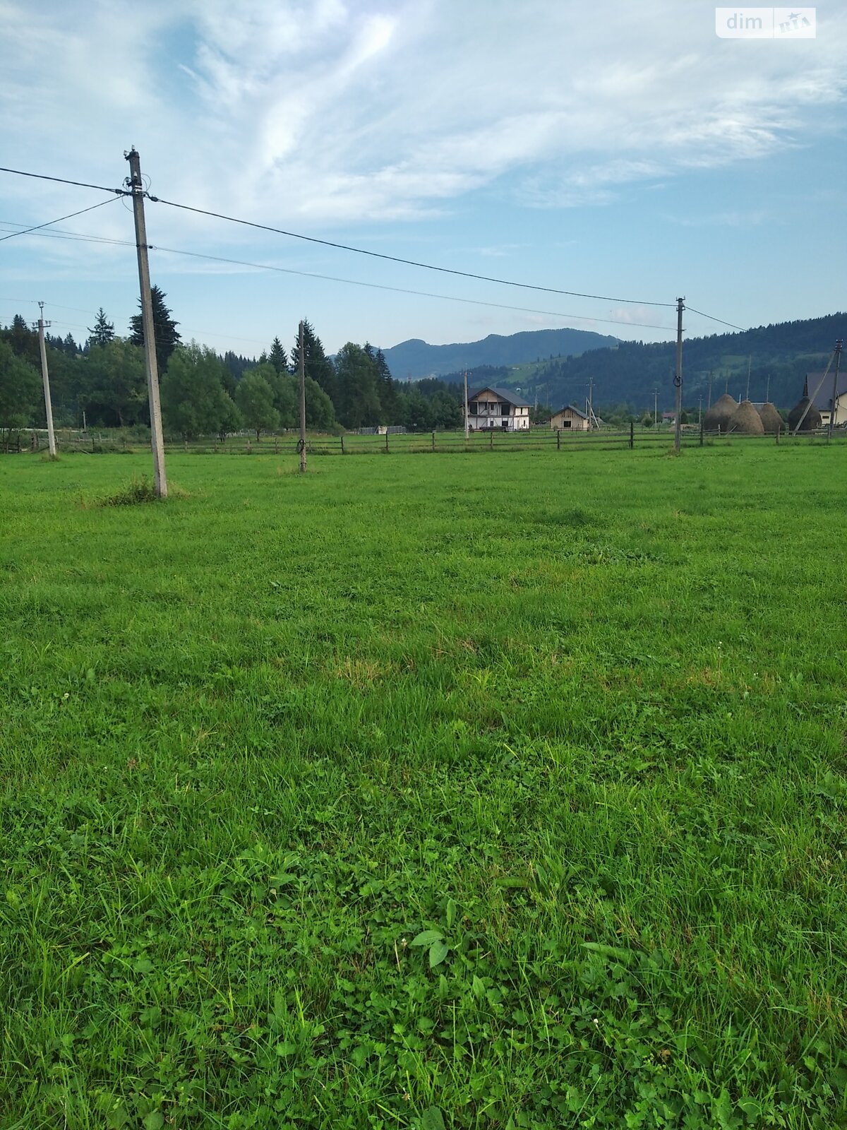 Земельный участок сельскохозяйственного назначения в Стаище, площадь 20 соток фото 1