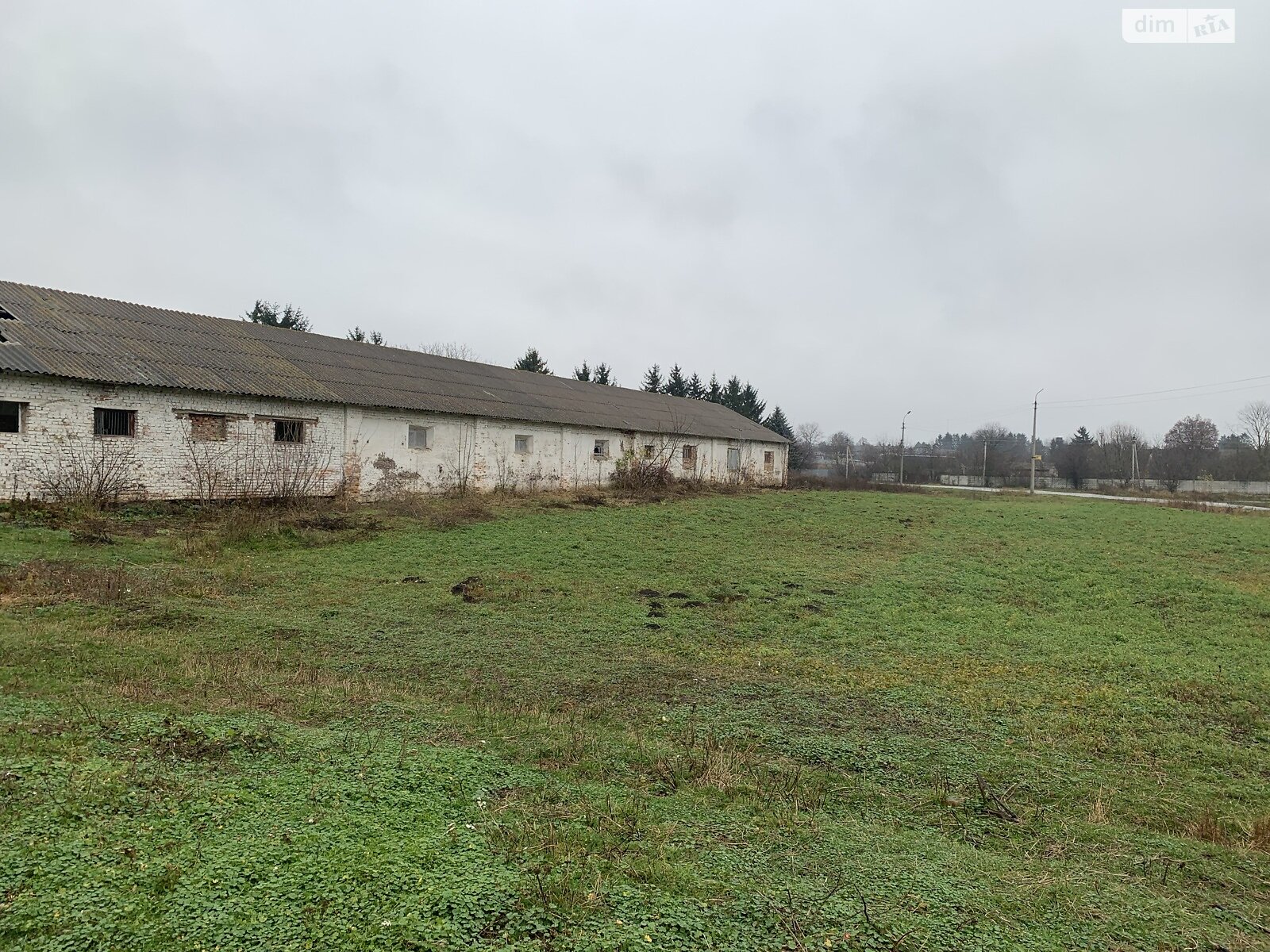 Земля сільськогосподарського призначення в Старій Синяві, район Стара Синява, площа 1.1392 Га фото 1 Земля сільськогосподарського призначення в Старій Синяві, район Стара Синява, площа 1.1392 Га фото 1