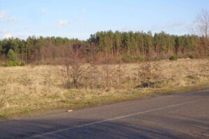 Земельна ділянка сільськогосподарського призначення в Старому селі, площа 0.099 Га фото 1 Земельна ділянка сільськогосподарського призначення в Старому селі, площа 0.099 Га фото 1