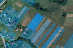 Земельный участок сельскохозяйственного назначения в Старом Селе, площадь 40 соток фото 2