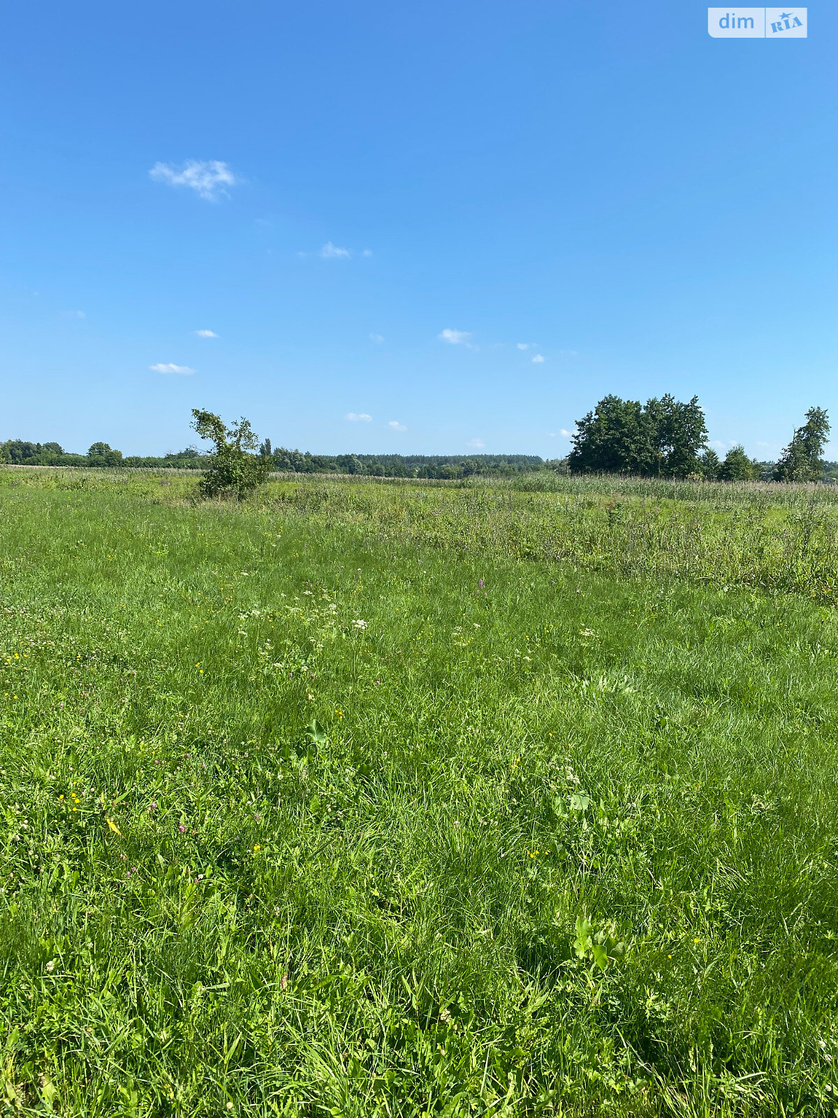 Земельна ділянка сільськогосподарського призначення в Старих Безрадичах, площа 1 Га фото 1 Земельна ділянка сільськогосподарського призначення в Старих Безрадичах, площа 1 Га фото 1