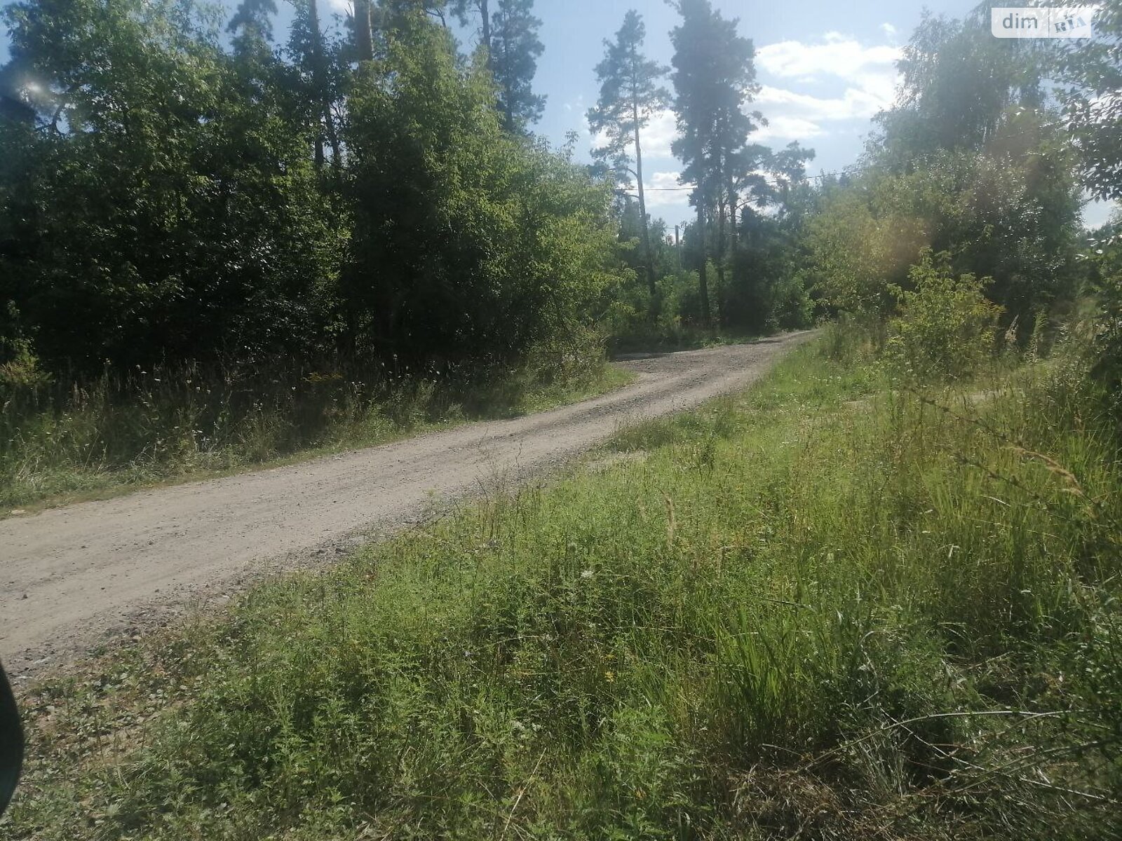 Земельна ділянка сільськогосподарського призначення в Старих Петрівцях, площа 12 соток фото 1