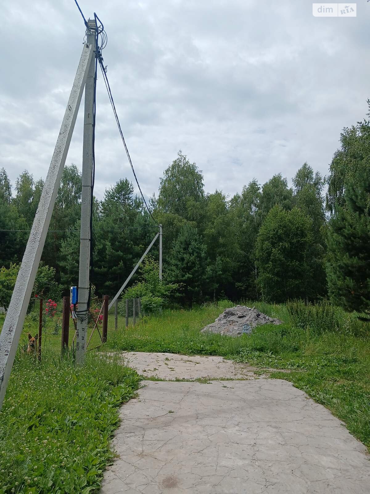 Земельна ділянка сільськогосподарського призначення в Києві, площа 12 соток фото 1 Земельна ділянка сільськогосподарського призначення в Києві, площа 12 соток фото 1
