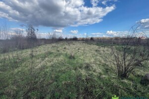 Земельна ділянка сільськогосподарського призначення в Старому Лисці, площа 15 соток фото 2