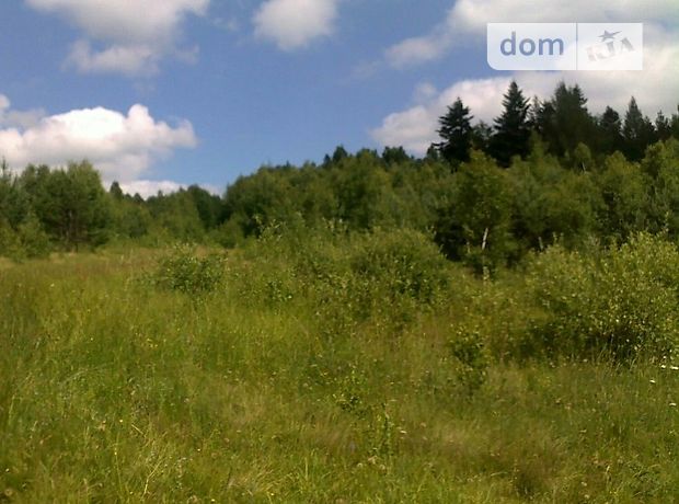 Земля сельскохозяйственного назначения в селе Топольница, площадь 2 Га фото 1 Земля сельскохозяйственного назначения в селе Топольница, площадь 2 Га фото 1