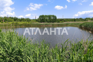 Земельна ділянка сільськогосподарського призначення в Старому Яру, площа 200 соток фото 2
