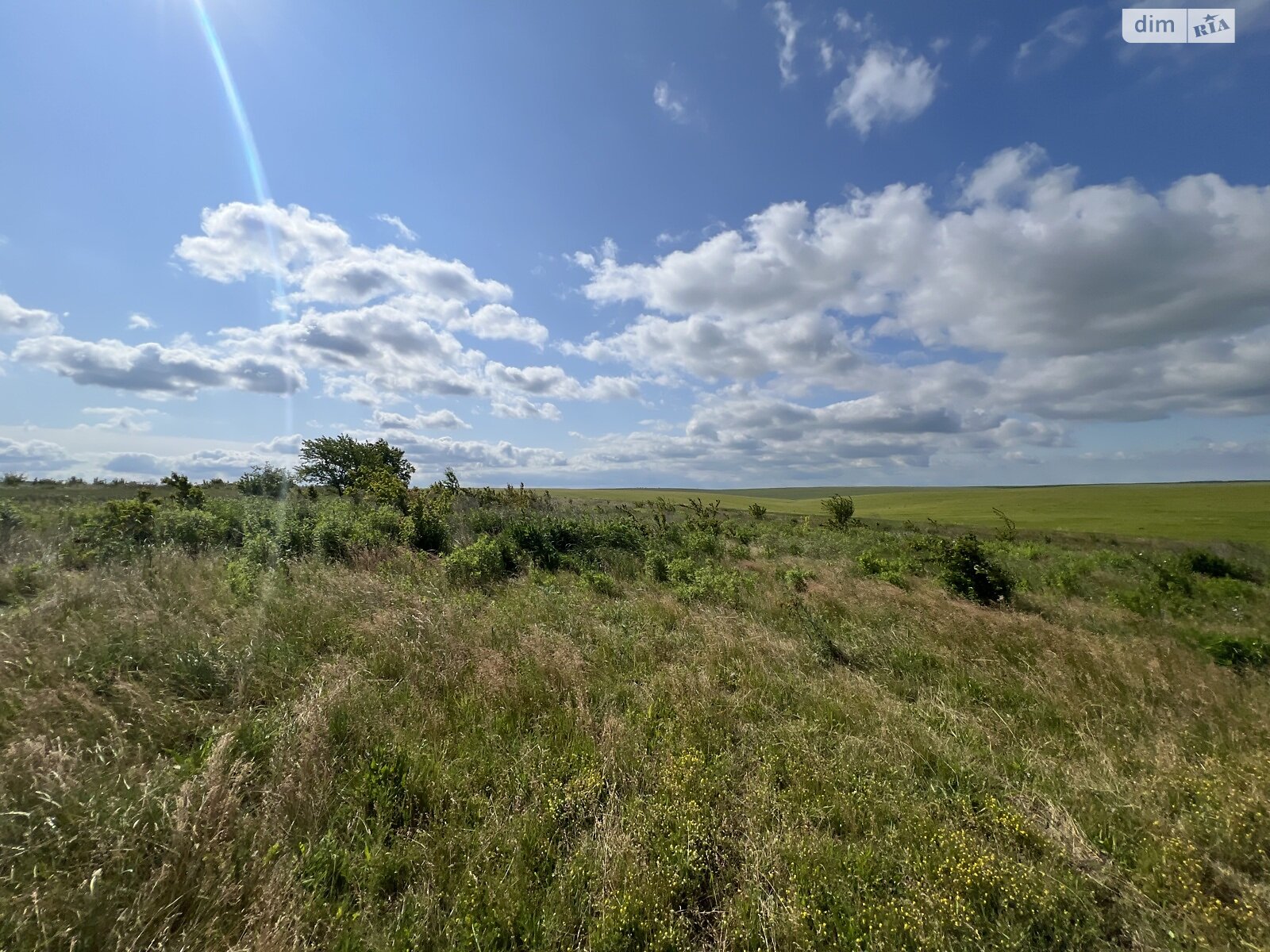Земельный участок сельскохозяйственного назначения в Ставках, площадь 12.5 сотки фото 1 Земельный участок сельскохозяйственного назначения в Ставках, площадь 12.5 сотки фото 1