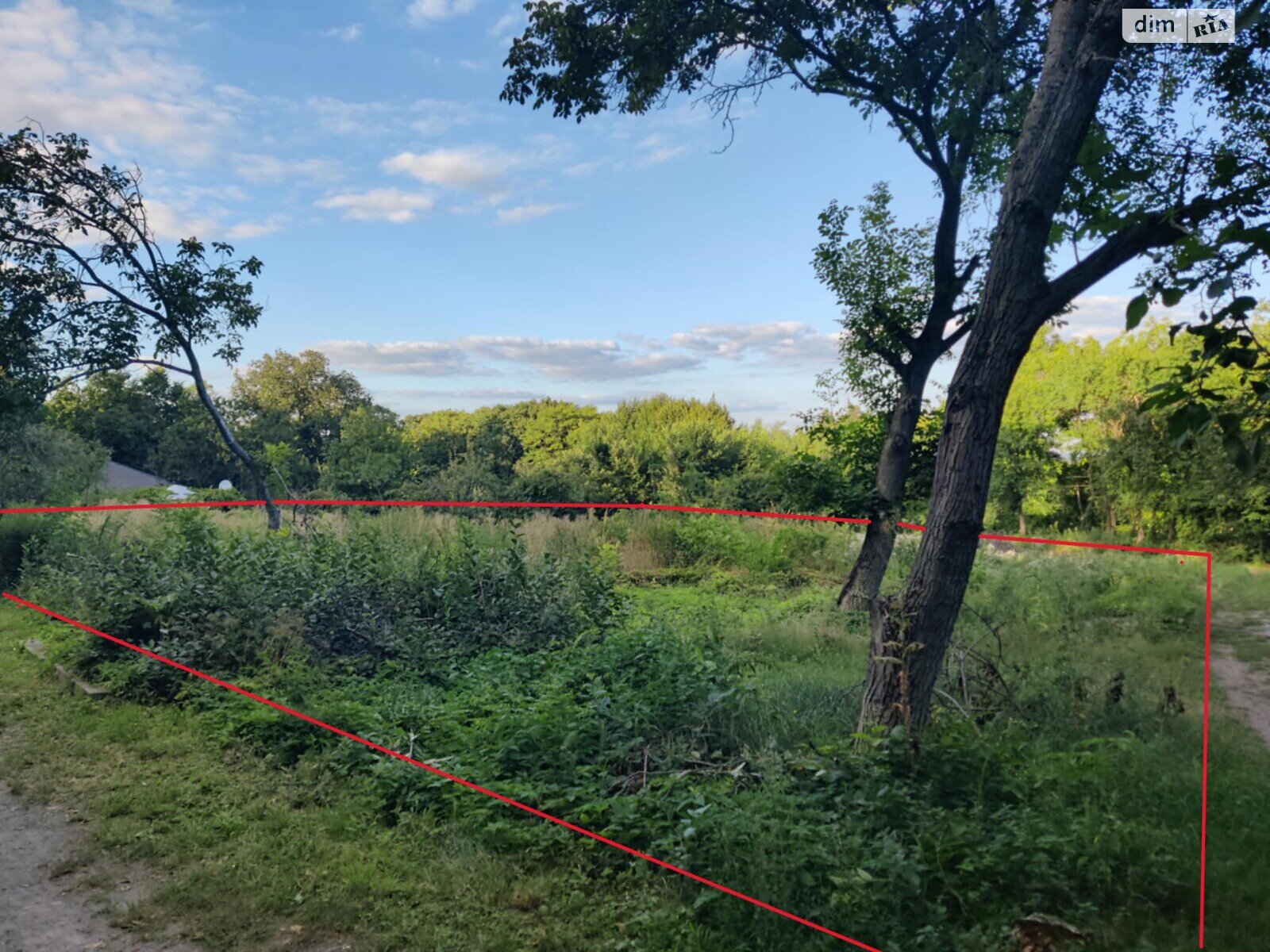 Земельный участок сельскохозяйственного назначения в Стайках, площадь 11 соток фото 1 Земельный участок сельскохозяйственного назначения в Стайках, площадь 11 соток фото 1