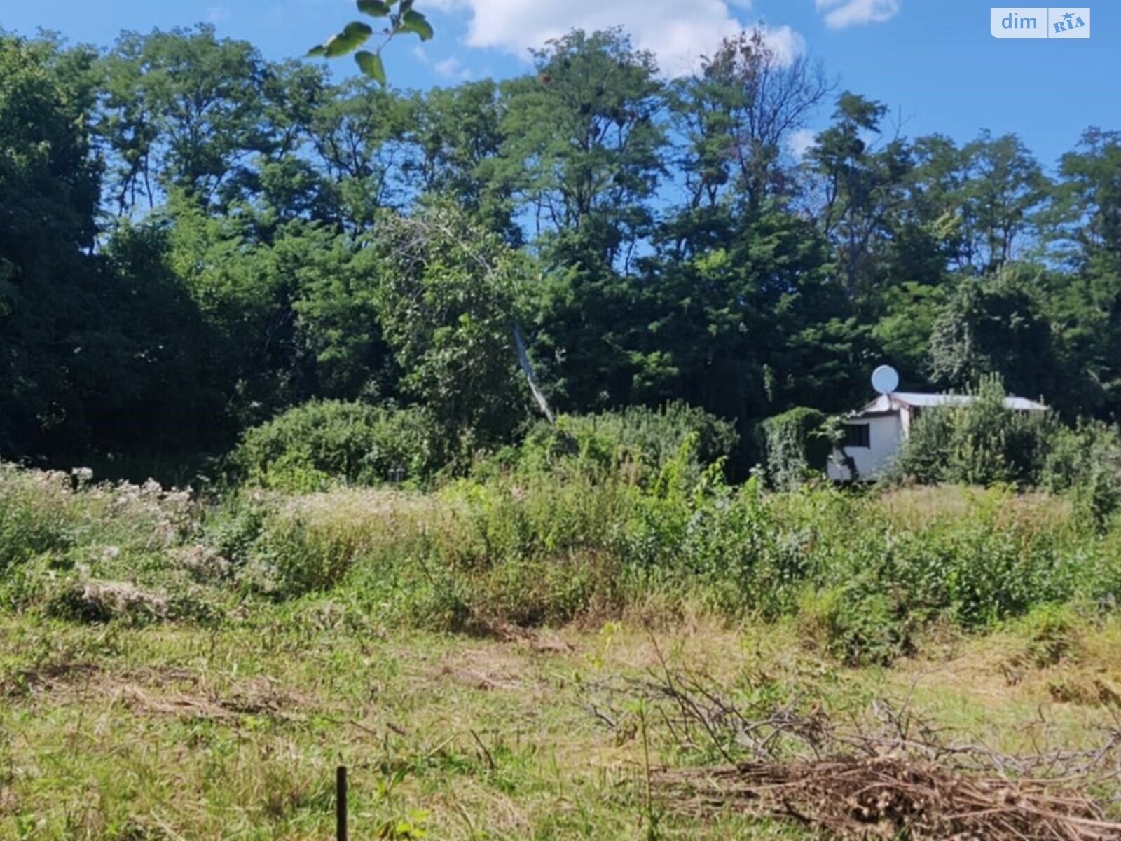 Земельный участок сельскохозяйственного назначения в Стайках, площадь 11 соток фото 1 Земельный участок сельскохозяйственного назначения в Стайках, площадь 11 соток фото 1