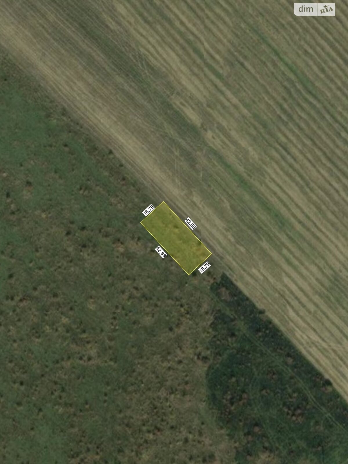 Земельна ділянка сільськогосподарського призначення в Сторожниці, площа 8.06 сотки фото 1