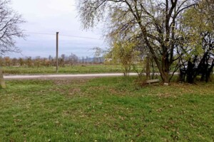 Земельна ділянка сільськогосподарського призначення в Сторожниці, площа 16.74 сотки фото 2