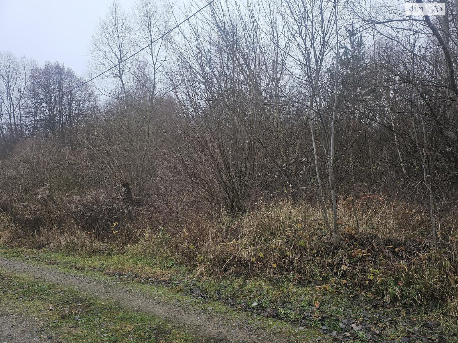 Земельный участок сельскохозяйственного назначения в Стоянке, площадь 8.37 сотки фото 1 Земельный участок сельскохозяйственного назначения в Стоянке, площадь 8.37 сотки фото 1