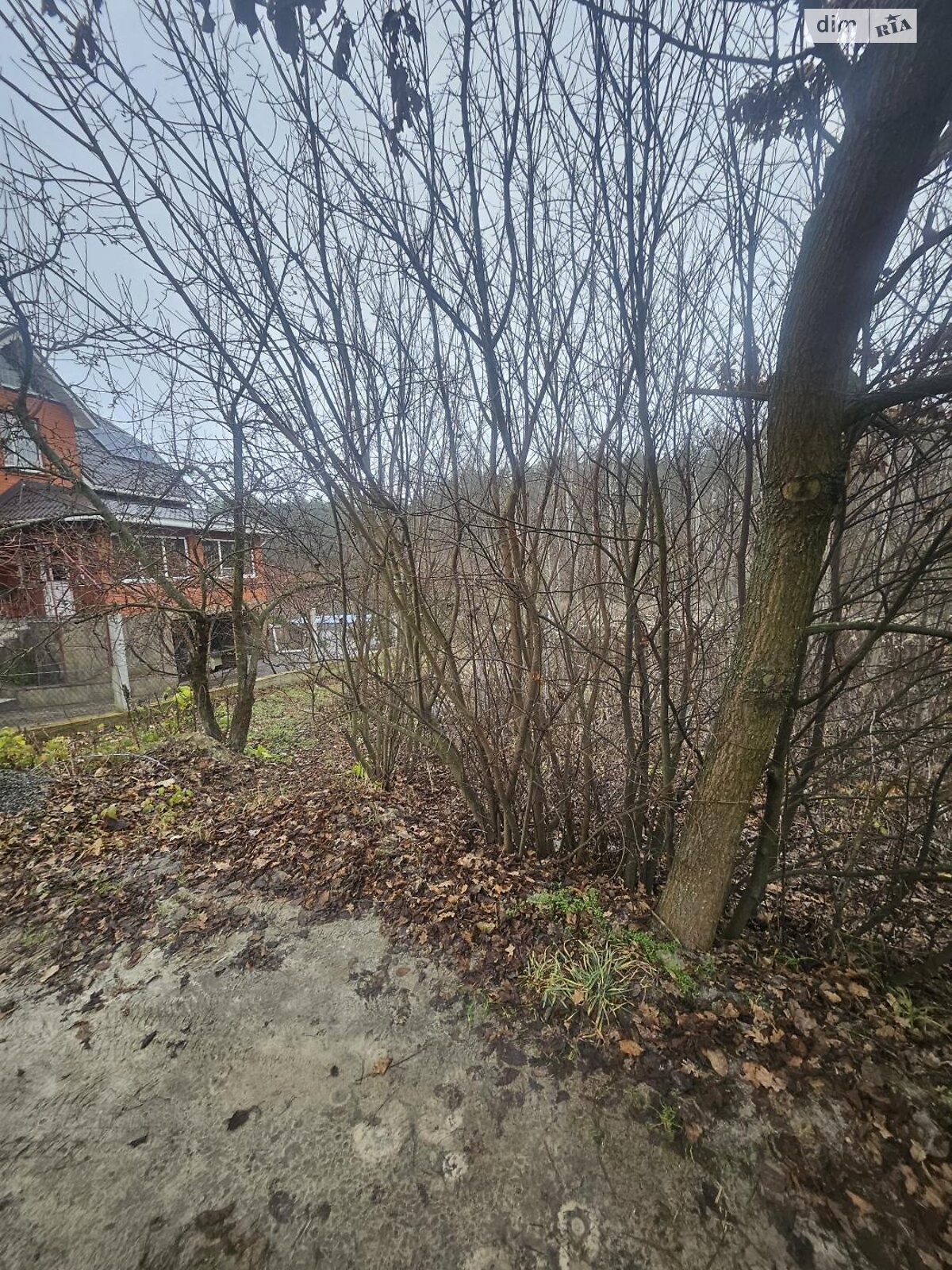 Земельный участок сельскохозяйственного назначения в Стоянке, площадь 12 соток фото 1 Земельный участок сельскохозяйственного назначения в Стоянке, площадь 12 соток фото 1