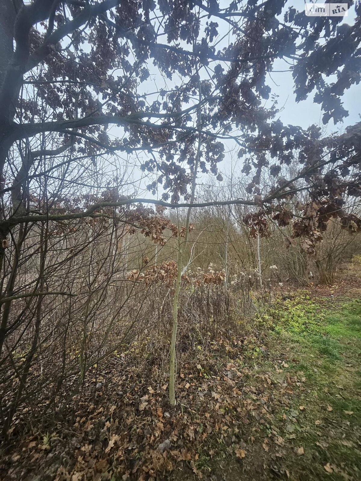 Земельный участок сельскохозяйственного назначения в Стоянке, площадь 12 соток фото 1 Земельный участок сельскохозяйственного назначения в Стоянке, площадь 12 соток фото 1