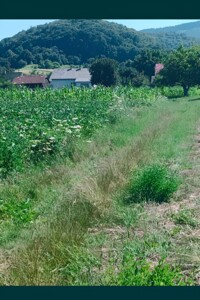 Земельна ділянка сільськогосподарського призначення в Стрелецькому Куті, площа 0.2 сотки фото 2