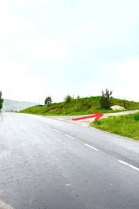 Земельна ділянка сільськогосподарського призначення в Стрілках, площа 4 Га фото 2