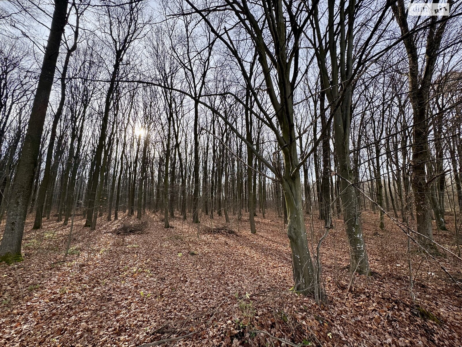 Земельный участок сельскохозяйственного назначения в Стрижавке, площадь 472 сотки фото 1