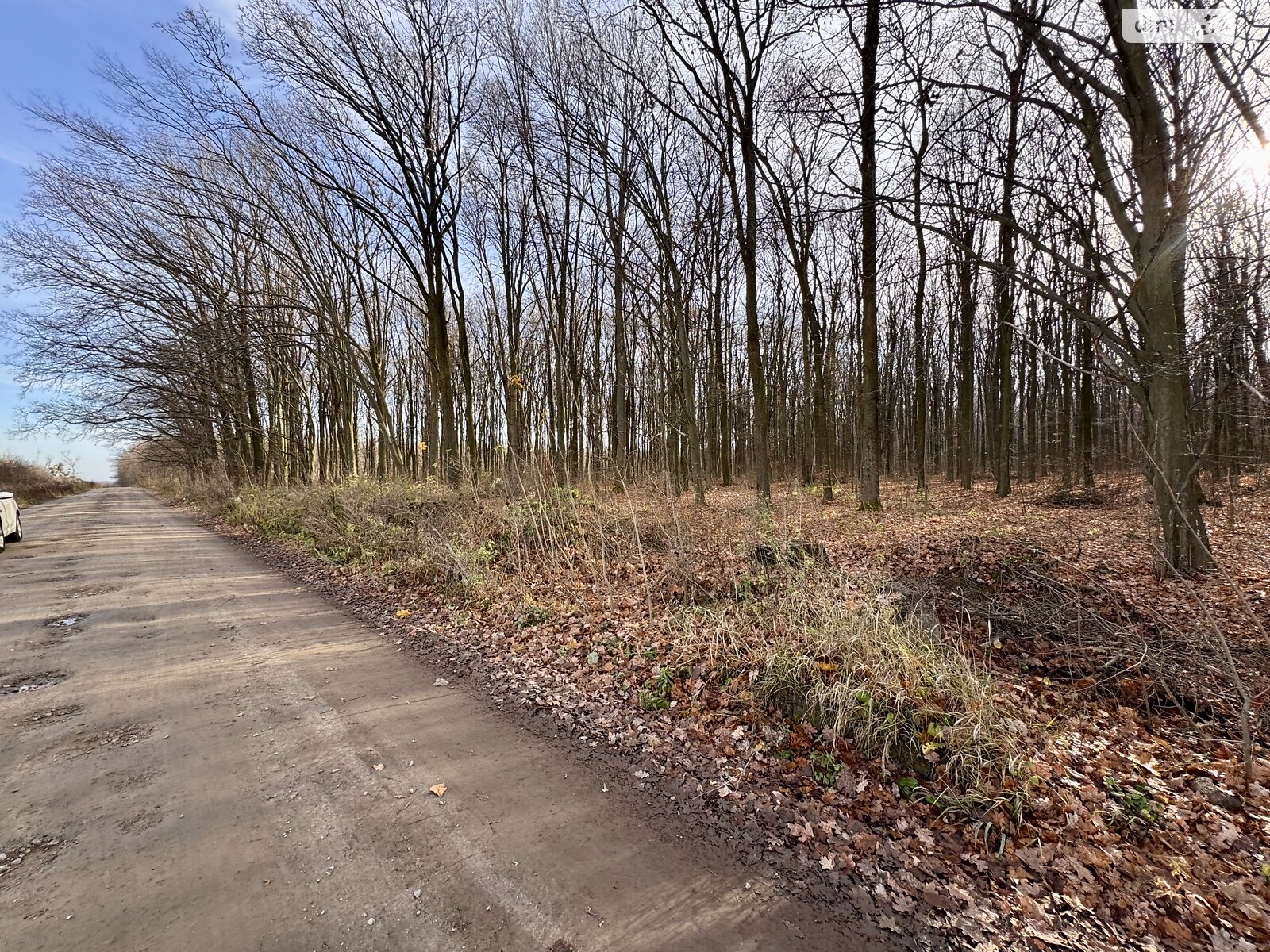Земельный участок сельскохозяйственного назначения в Стрижавке, площадь 472 сотки фото 1