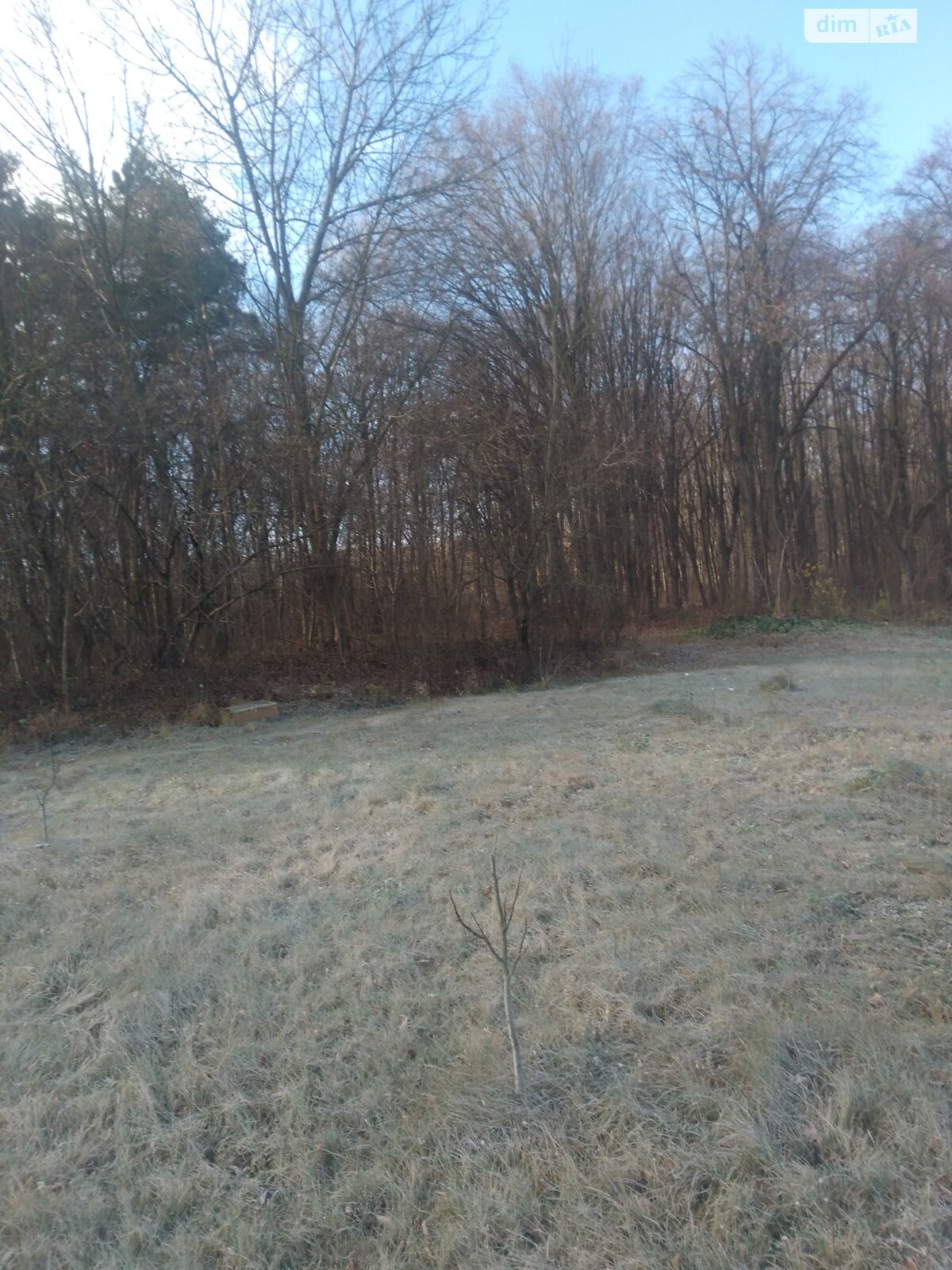 Земельный участок сельскохозяйственного назначения в Стрижавке, площадь 18 соток фото 1