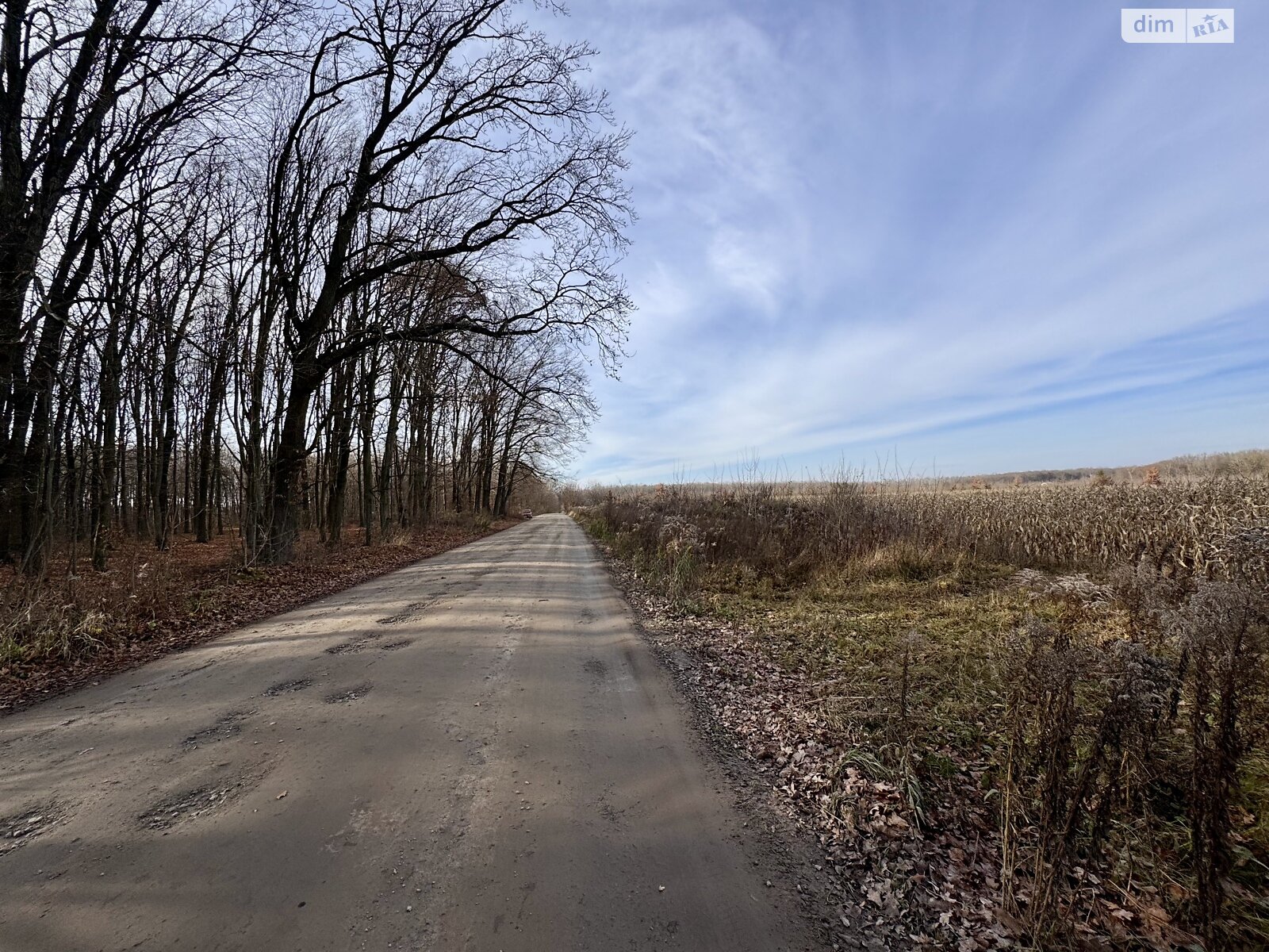 Земельный участок сельскохозяйственного назначения в Стрижавке, площадь 236 соток фото 1