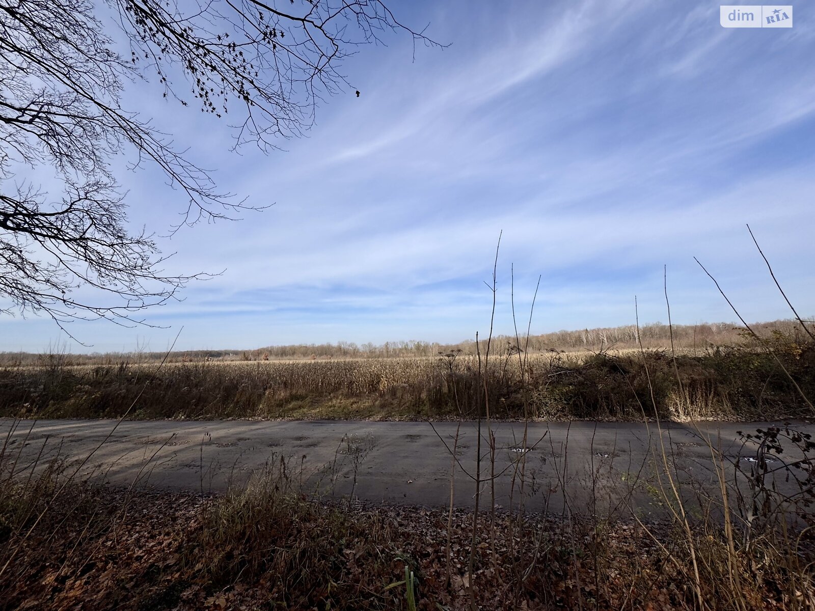 Земельный участок сельскохозяйственного назначения в Стрижавке, площадь 236 соток фото 1