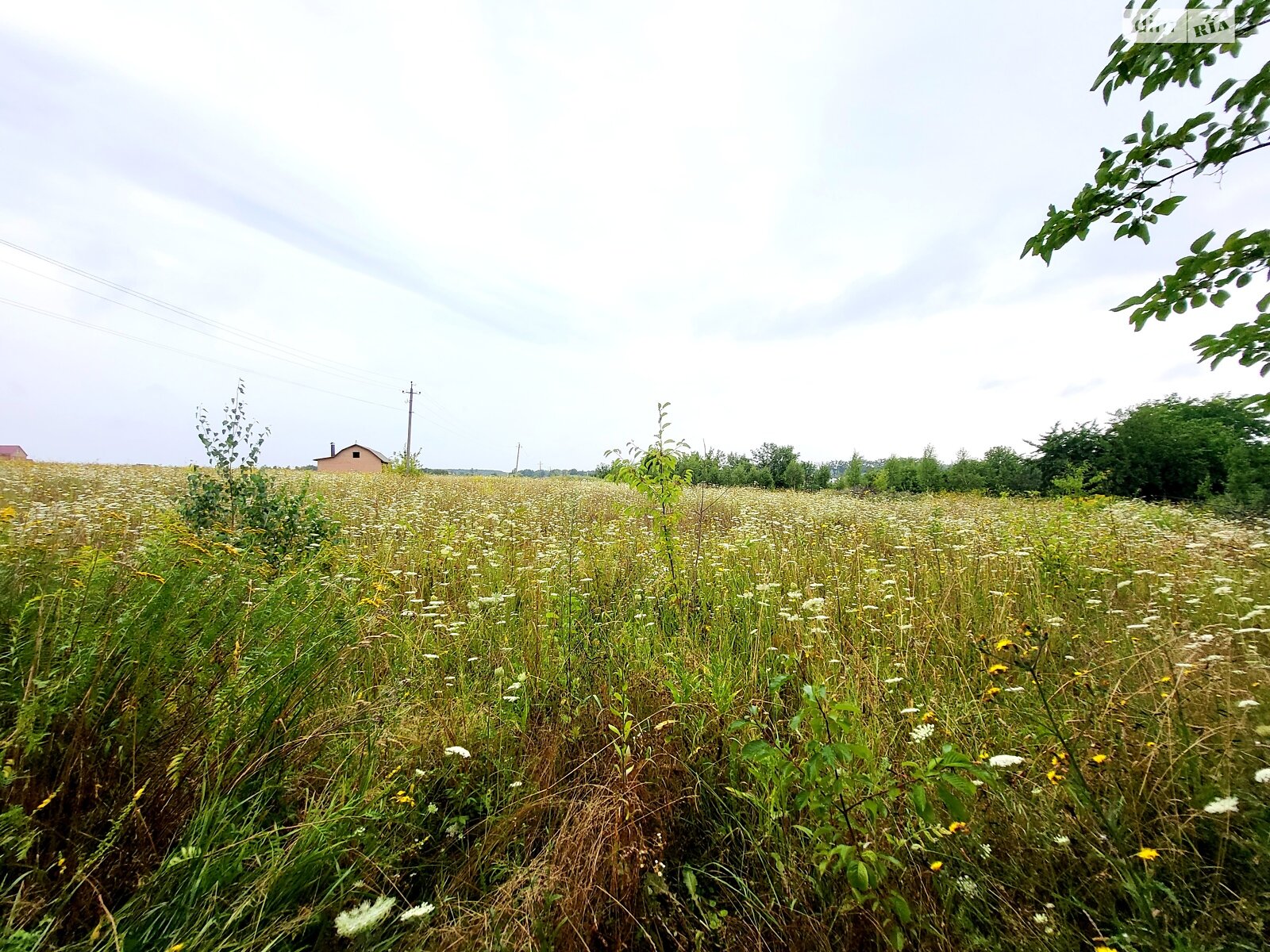 Земельный участок сельскохозяйственного назначения в Стрижавке, площадь 10 соток фото 1