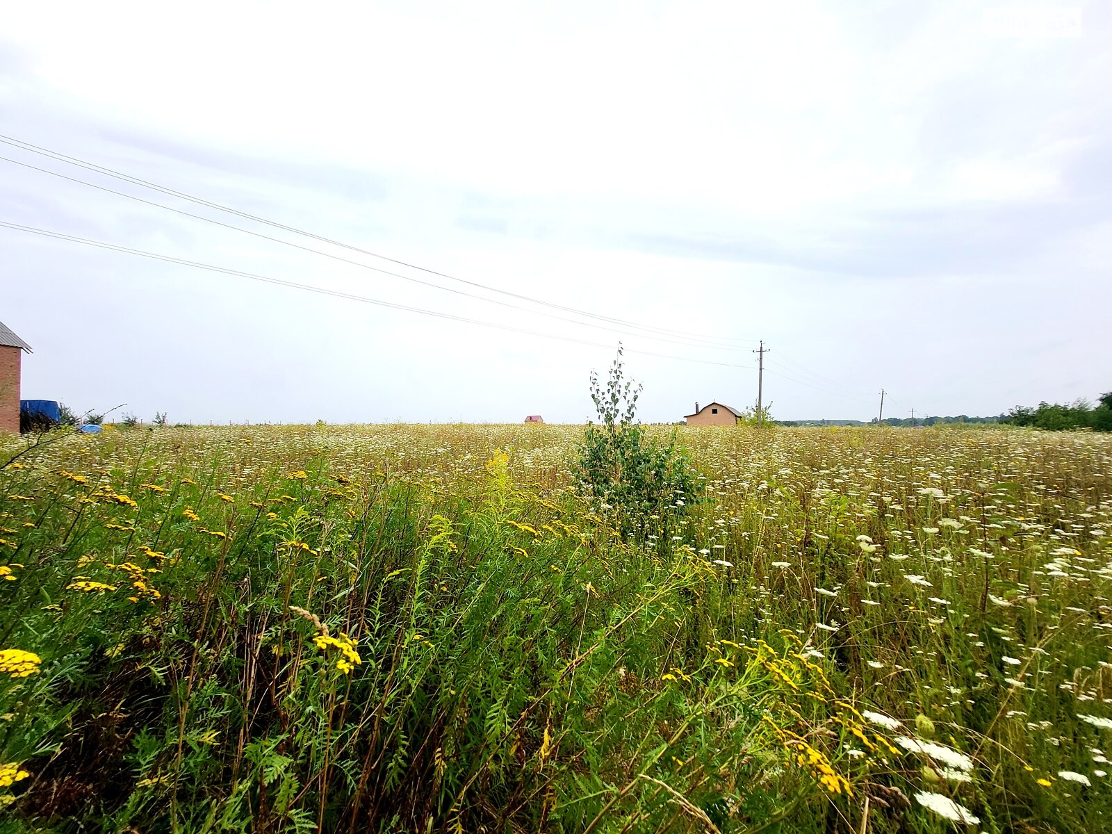 Земельный участок сельскохозяйственного назначения в Стрижавке, площадь 10 соток фото 1