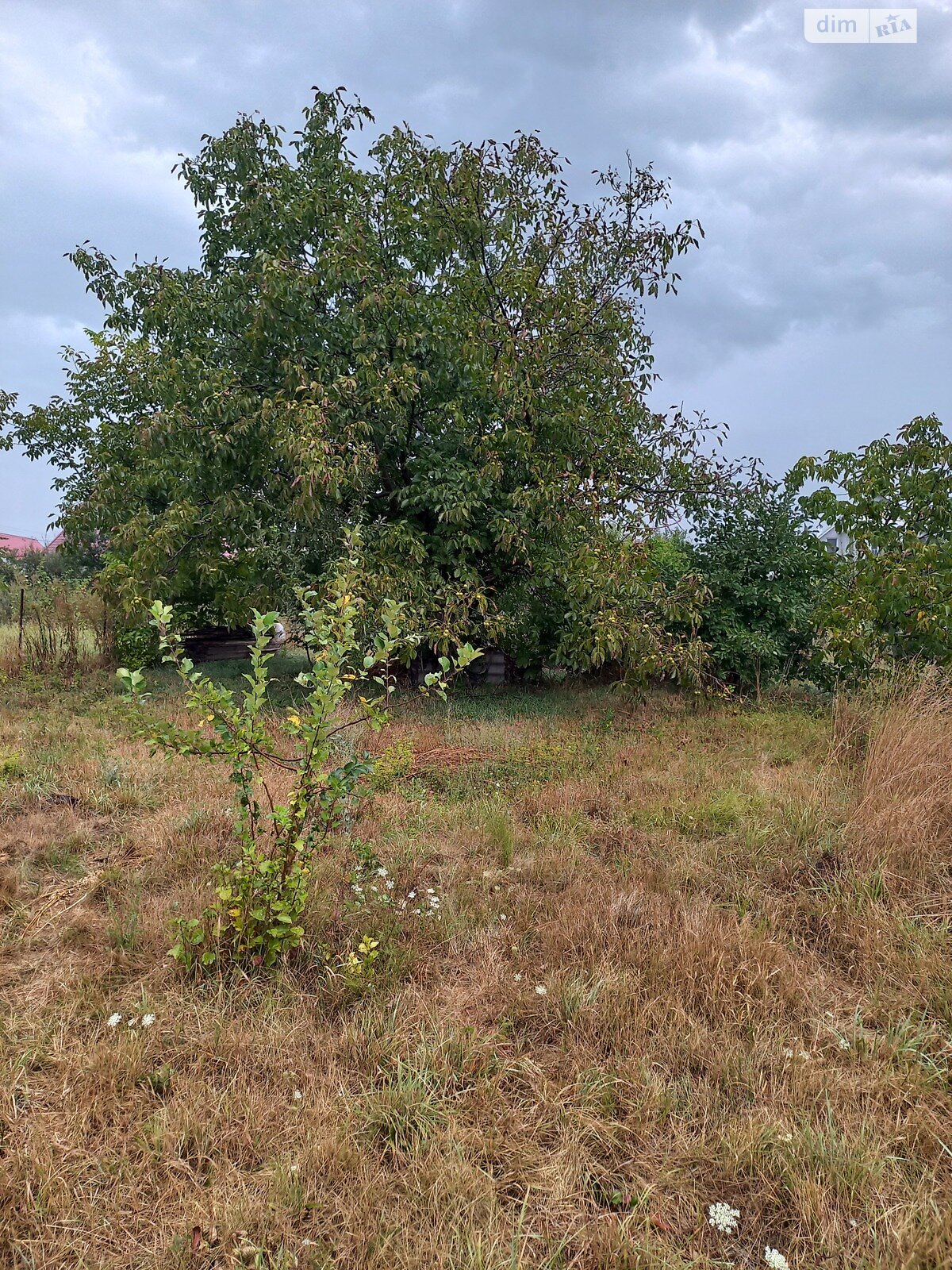Земельный участок сельскохозяйственного назначения в Стрижавке, площадь 22 сотки фото 1