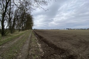 Земельна ділянка сільськогосподарського призначення в Стрижавці, площа 8 соток фото 2