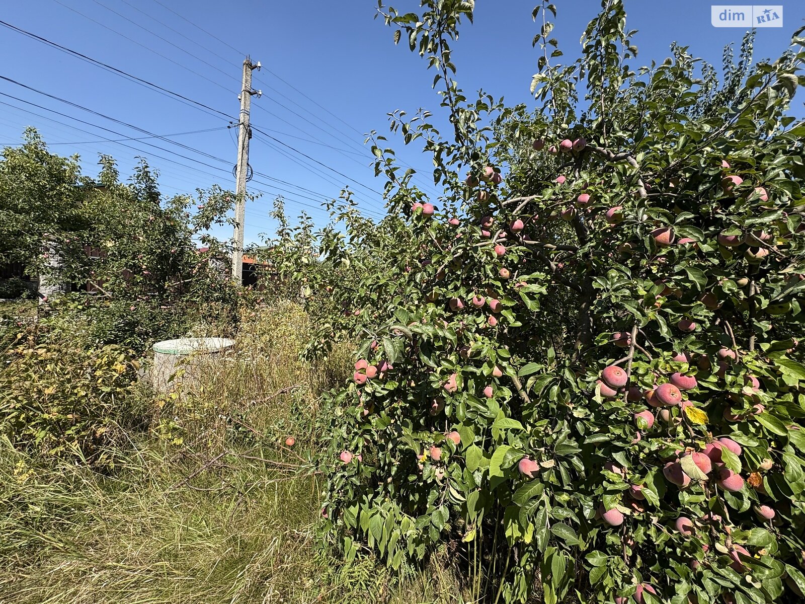 Земля сільськогосподарського призначення в Стрижавці, площа 10 соток фото 1