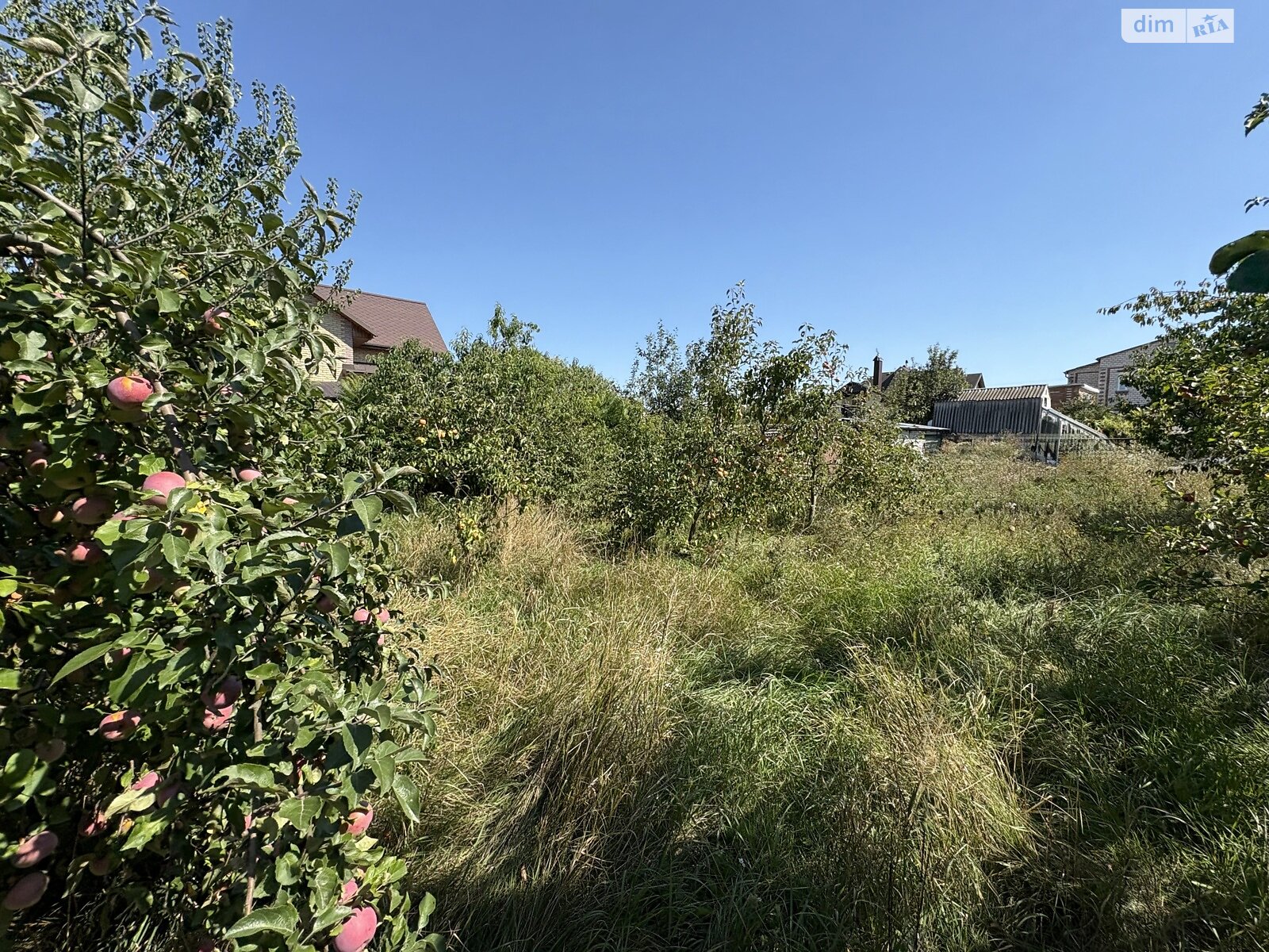 Земля сільськогосподарського призначення в Стрижавці, площа 10 соток фото 1